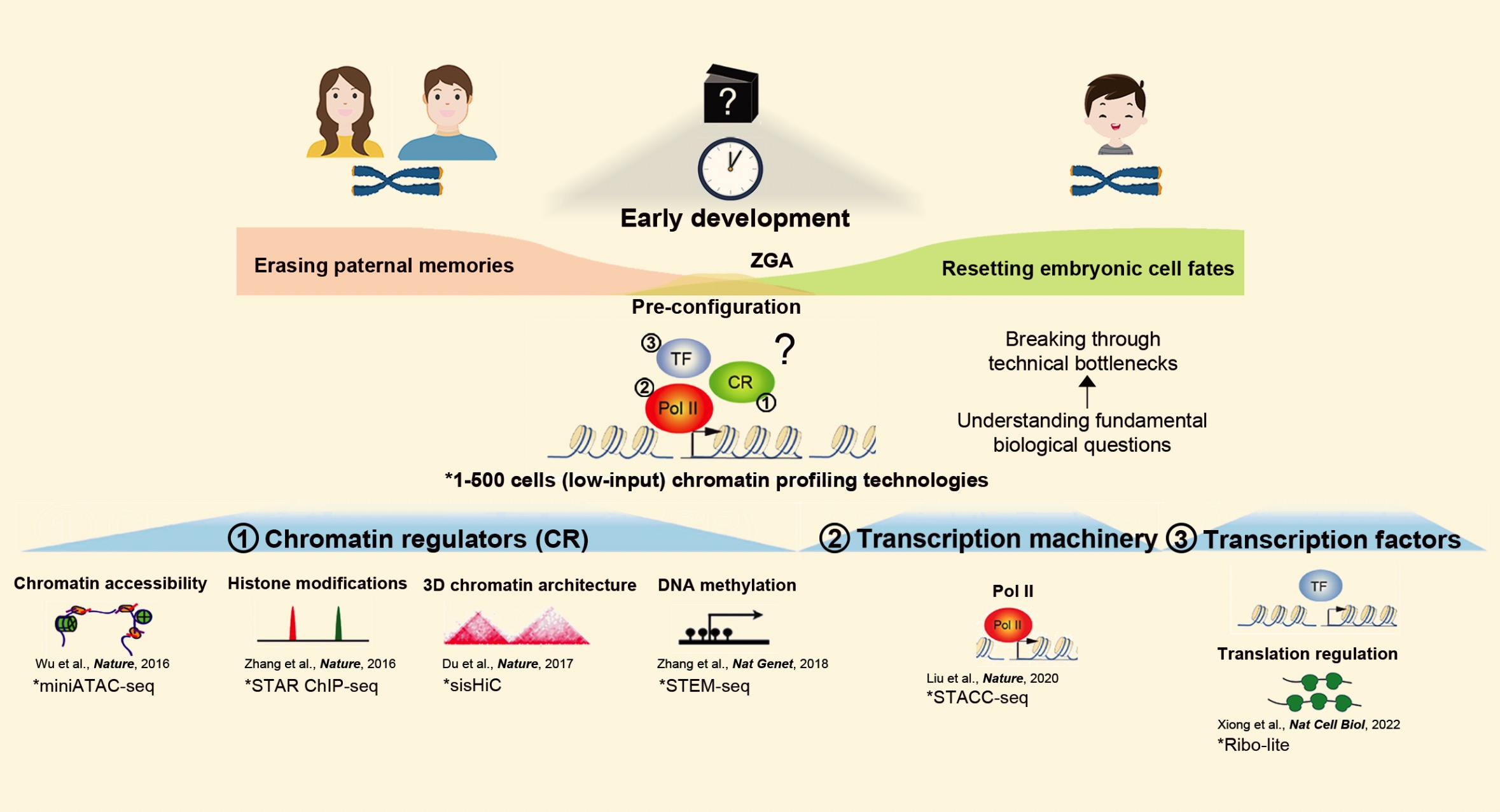 Major Research Interests